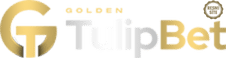 Tulipbet Giriş